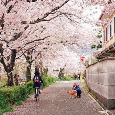 鄱阳湖跌破枯水位 蛤蟆石景观“水落石出”