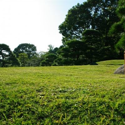 横河电机将发布轻便、节能的OpreX电芯在线...