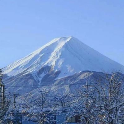 海地领导人发言时用超大杯喝水