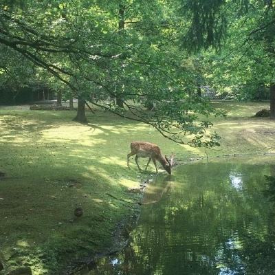 在极寒中“为国加油”—探访大庆油田1205钻井队