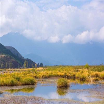 【境内疫情观察】全国新增59例本土病例（2月21日）